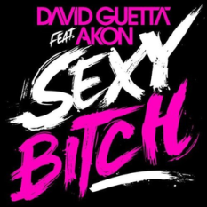David Guetta feat Akon