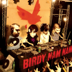 Birdy Nam Nam