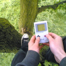 The Game Boy Tree Adventures