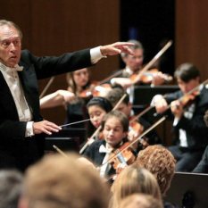 Claudio Abbado: Vienna Philharmonic Orchestra
