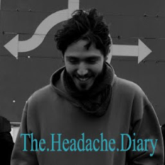 The.Headache.Diary