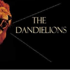 The Dandielions