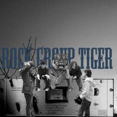 Rock Group Tiger