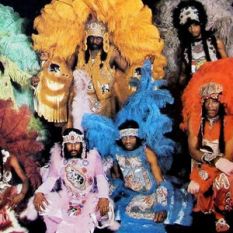 Bo Dollis & the Wild Magnolia Mardi Gras Indian Band