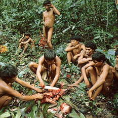 Yanomami Young Men