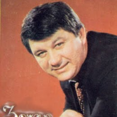Zoran Gajic