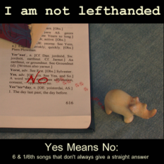 Yes Means No