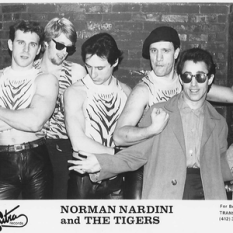 Norman Nardini And The Tigers