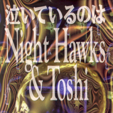 Night Hawks & Toshi