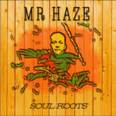 Mr Haze Dub Project