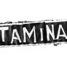 Vitamina (A)