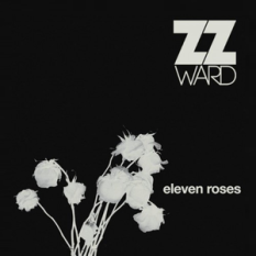 Eleven Roses