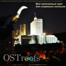 OSTroofs