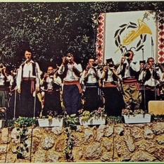 dragacevski trubaci