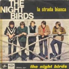 The Night Birds