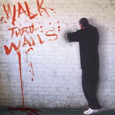Walk Thru Walls