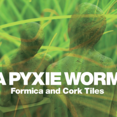 A Pyxie Worm