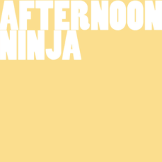 Afternoon Ninja