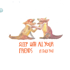 Sleep With All Your Friends