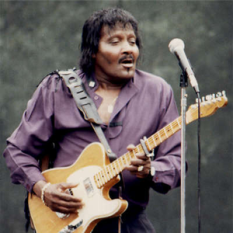 Albert Collins and The Icebreakers