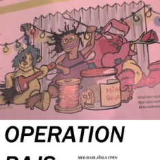 Operation Bajs