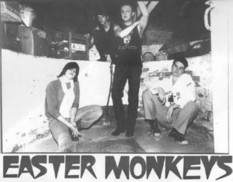Easter Monkeys