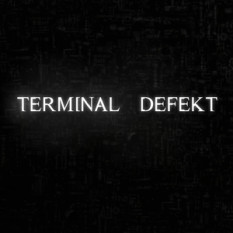 Terminal Defekt
