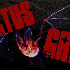 Rictus Grim