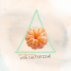 Vox Castoridae