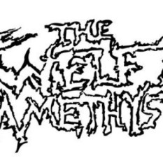 The Twelfth Amethyst