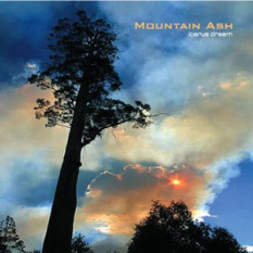 MOUNTAIN ASH