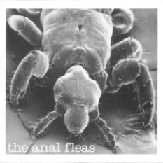 The Anal Fleas