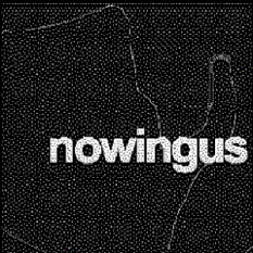 NOWINGUS
