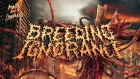 Breeding Ignorance - Image And Likeness (OFFICIAL LYRIC VIDEO)