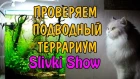 ПРОВЕРЯЕМ ПОДВОДНЫЙ ТЕРРАРИУМ Slivki Show