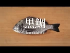 黒鯛（くろだい）のさばき方 - How to filet Black Seabream -｜日本さばけるプロジェクト