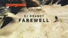 DJ Brandt - Farewell