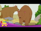 How many bears? Three bears. (Counting animals/In the zoo) - Easy Dialogue - English video for Kids
