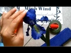 Iris paper flower - Làm hoa diên vĩ giấy nhún