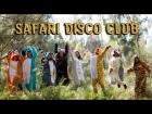 Yelle - Safari Disco Club (Dance Video) - Geekgasm