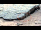 Round hole in a stone slab found on Mars on NASA photo Круглая нора в каменной плите на Марсе