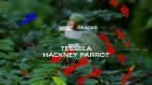 Tessela 'Hackney Parrot' [Boiler Room Tracks 1x06] (с переводом Selector)