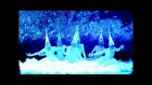 Шоу Бионика (Bionica) - Арктика (XXI. Мой Тихий Океан)