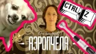 CTRL+Zzz (cover Пошлая Молли) ПОЮЩАЯ СОБАКА vs БЛЕНДЕР