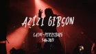 Видеосъёмка концерта Azizi Gibson в Санкт-Петербурге.