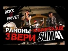Звери / Sum 41- Районы - Кварталы (Cover by ROCK PRIVET)