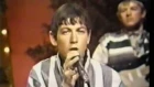 Eric Burdon & The Animals - When I Was Young (1967)