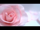 Foam Rose flowers Hand Made / Роза из фоамирана своими руками  Реалистичные цветы Мастер класс МК