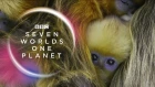 Sia and Hans Zimmer - Seven Worlds, One Planet: Extended Trailer