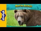 Meet the Animals 5 | Grizzly Bear | Wild Animals | Little Fox | Animated Stories for Kids